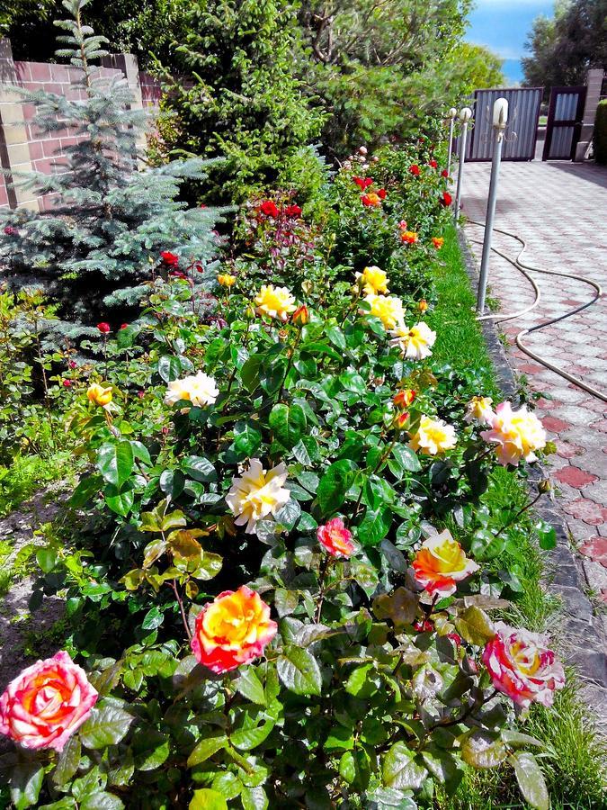 Tian-Shan Guest House Balıkçı Dış mekan fotoğraf