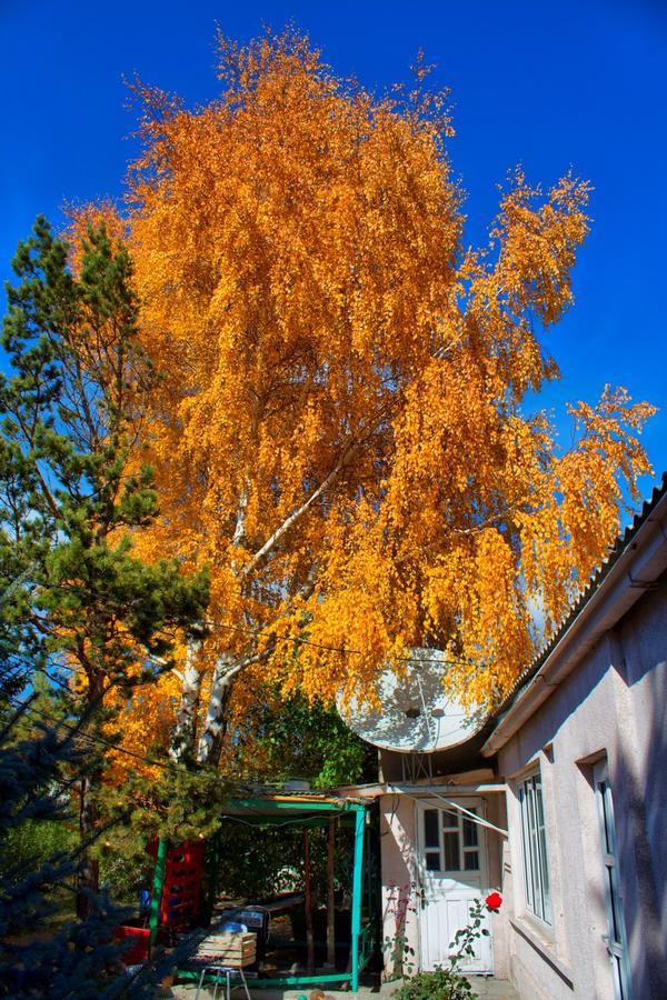 Tian-Shan Guest House Balıkçı Dış mekan fotoğraf